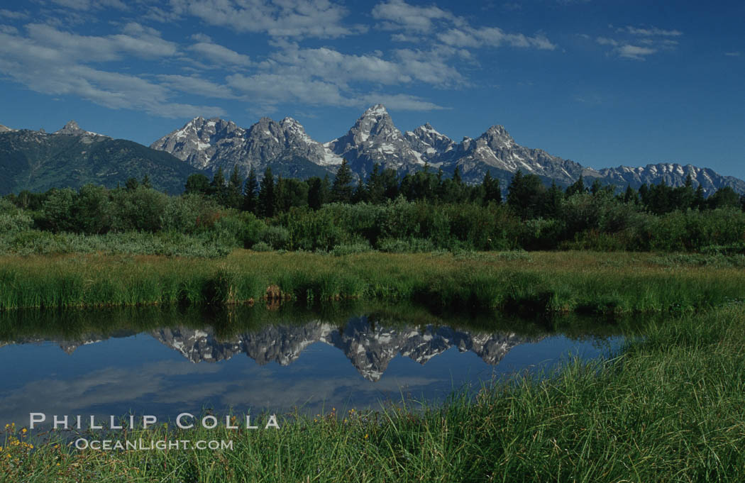 The Teton Range is reflected in a calm sidewater of the Snake River near Blacktail Ponds, summer. Grand Teton National Park, Wyoming, USA, natural history stock photograph, photo id 07392
