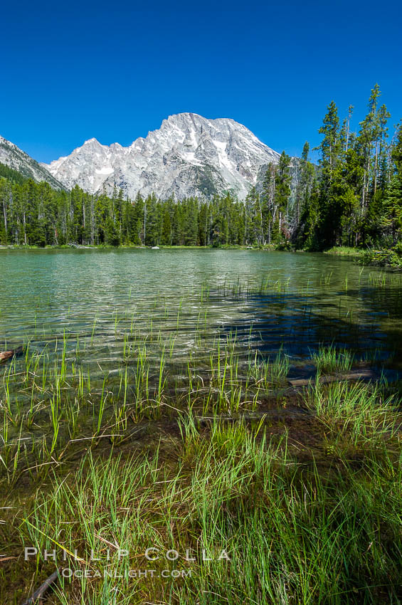 Mount Moran rises above String Lake. Grand Teton National Park, Wyoming, USA, natural history stock photograph, photo id 07408