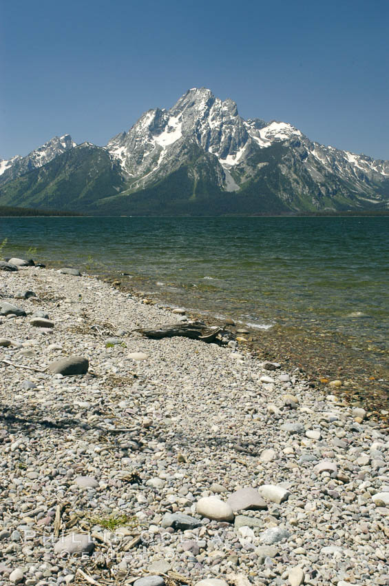 Driftwood along the shoreline of Jackson Lake with Mount Moran in the background. Grand Teton National Park, Wyoming, USA, natural history stock photograph, photo id 07415
