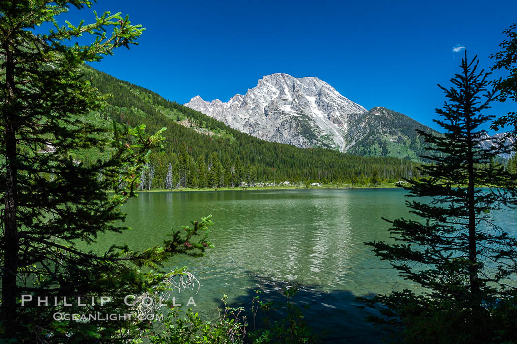 Mount Moran rises above String Lake. Grand Teton National Park, Wyoming, USA, natural history stock photograph, photo id 07405