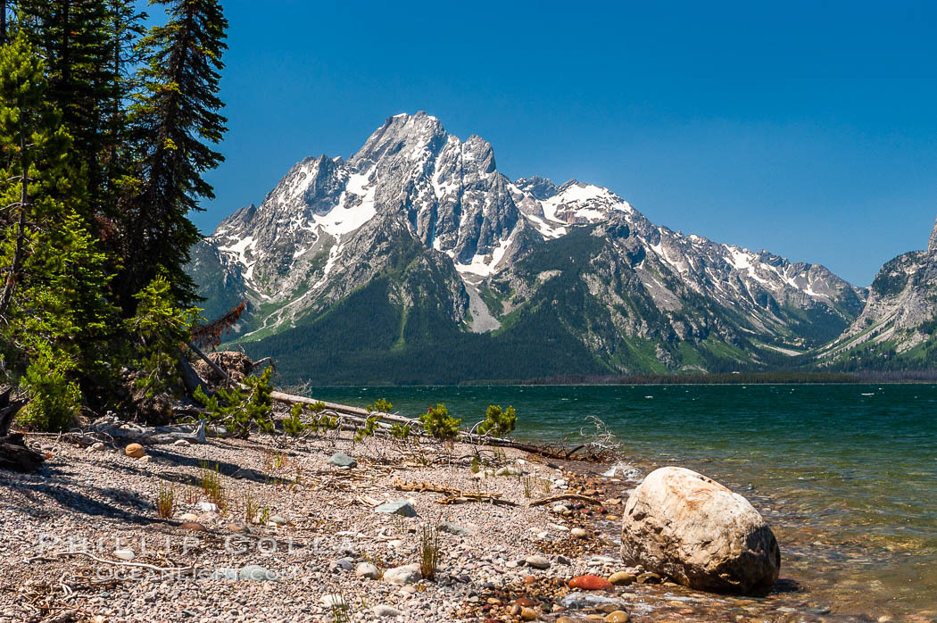Driftwood along the shoreline of Jackson Lake with Mount Moran in the background. Grand Teton National Park, Wyoming, USA, natural history stock photograph, photo id 07417