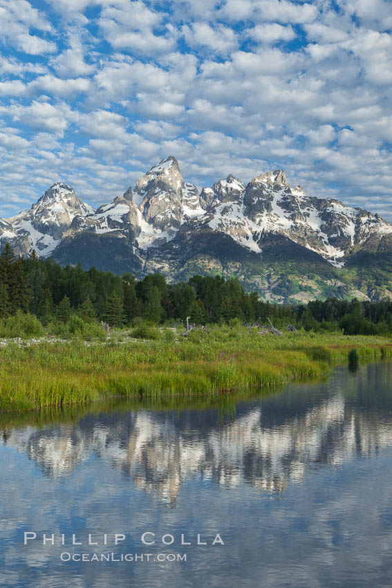 The Grand Tetons, reflected in the glassy waters of the Snake River at Schwabacher Landing, on a beautiful summer morning. Grand Teton National Park, Wyoming, USA, natural history stock photograph, photo id 26931