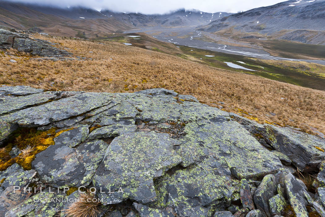 Grassy windy highlands and rocks, overlooking alluvial floodplain formed by glacier runoff near Stromness Bay. Stromness Harbour, South Georgia Island, natural history stock photograph, photo id 24610