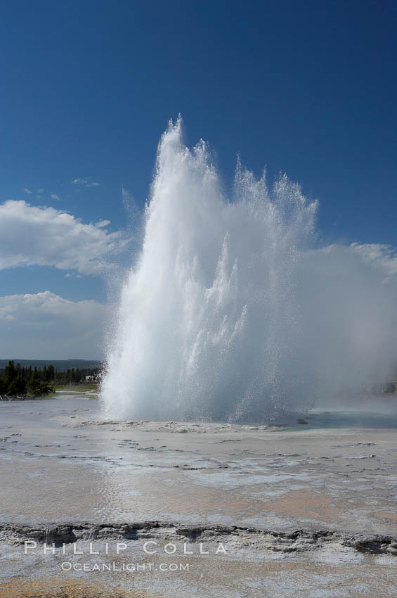 Great Fountain Geyser erupting.  Great Fountain Geyser, a fountain-type geyser, can reach heights of 200 feet, one of the largest geysers in the world.  It has a large vent (16 feet across) situated amid wide sinter terraces that act as reflecting pools as the geyser slows fills prior to its eruption.  Its interval and duration vary widely.  It typically erupts in a series of bursts, each separately by a few minutes.  Firehole Lake Drive. Lower Geyser Basin, Yellowstone National Park, Wyoming, USA, natural history stock photograph, photo id 13558