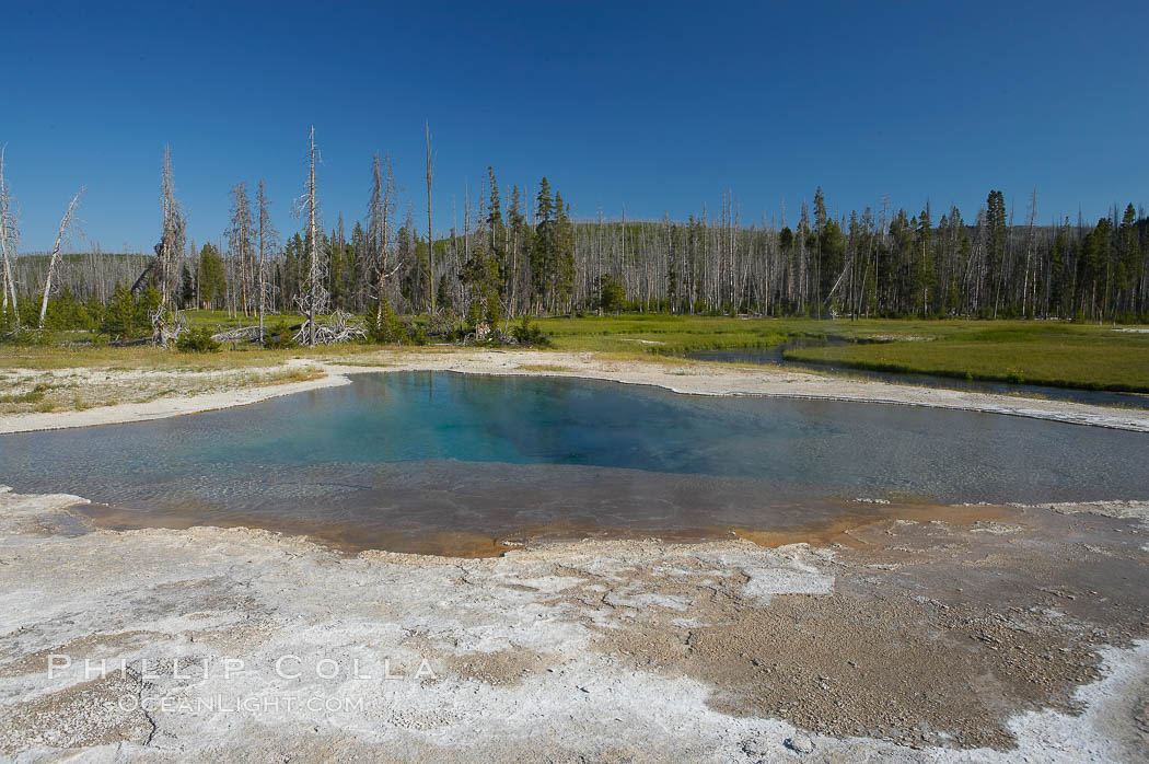 Green Spring. Black Sand Basin, Yellowstone National Park, Wyoming, USA, natural history stock photograph, photo id 13512