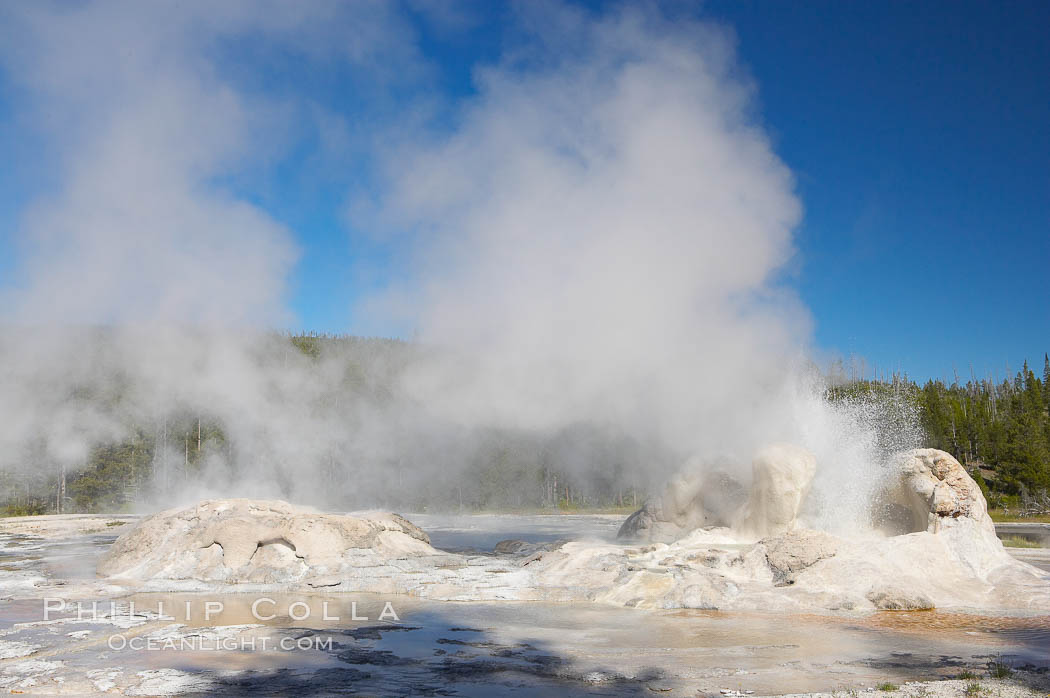 Grotto Geyser erupts (right) while Rocket Geyser steams (left).  Upper Geyser Basin. Yellowstone National Park, Wyoming, USA, natural history stock photograph, photo id 13398