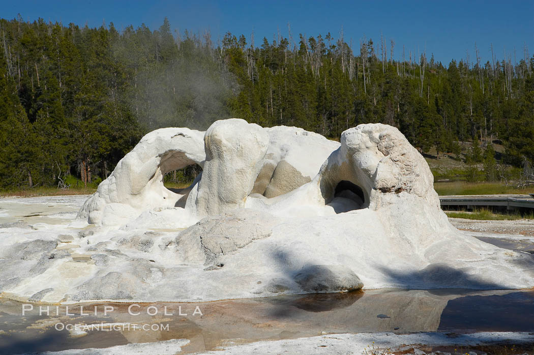 Grotto Geyser sinter formation, a result of sinter covering old tree stumps, is unique among geothermal features in Yellowstone National Park. Upper Geyser Basin, Wyoming, USA, natural history stock photograph, photo id 13400