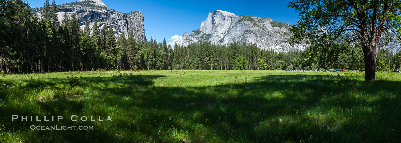 Half Dome (center) and Washington Column (left), late afternoon in spring, viewed from Ahwahnee Meadow, Yosemite National Park, California