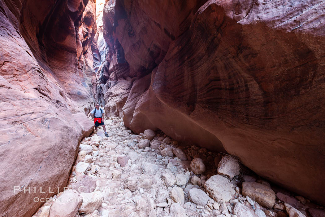 Hiker in Buckskin Gulch.  A hiker considers the towering walls and narrow passageway of Buckskin Gulch, a dramatic slot canyon forged by centuries of erosion through sandstone.  Buckskin Gulch is the worlds longest accessible slot canyon, running from the Paria River toward the Colorado River.  Flash flooding is a serious danger in the narrows where there is no escape. Paria Canyon-Vermilion Cliffs Wilderness, Arizona, USA, natural history stock photograph, photo id 20712