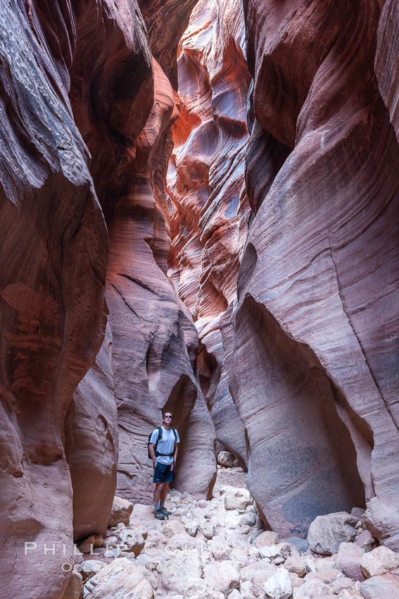 Hiker in Buckskin Gulch. A hiker considers the towering walls and narrow passageway of Buckskin Gulch, a dramatic slot canyon forged by centuries of erosion through sandstone. Buckskin Gulch is the worlds longest accessible slot canyon, running from the Paria River toward the Colorado River. Flash flooding is a serious danger in the narrows where there is no escape, Paria Canyon-Vermilion Cliffs Wilderness, Arizona
