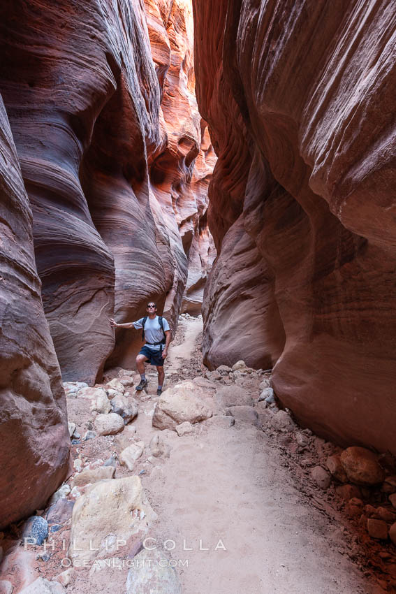 Hiker in Buckskin Gulch.  A hiker considers the towering walls and narrow passageway of Buckskin Gulch, a dramatic slot canyon forged by centuries of erosion through sandstone.  Buckskin Gulch is the worlds longest accessible slot canyon, running from the Paria River toward the Colorado River.  Flash flooding is a serious danger in the narrows where there is no escape. Paria Canyon-Vermilion Cliffs Wilderness, Arizona, USA, natural history stock photograph, photo id 20729