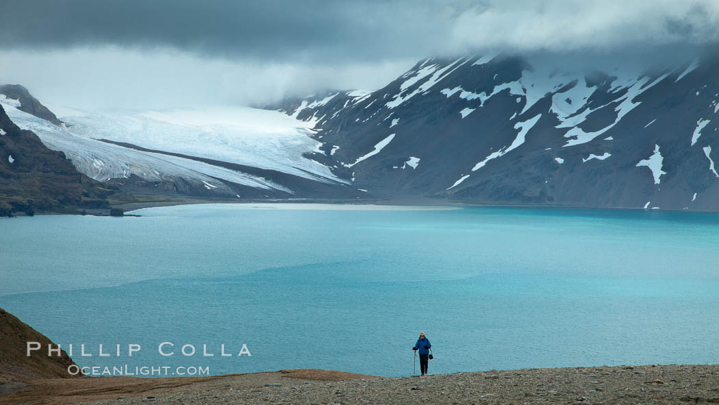 A hiker ascends the slopes of South Georgia Island above Fortuna Bay., natural history stock photograph, photo id 24591