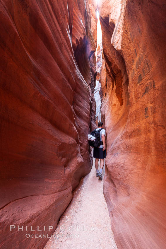 A hiker walking through the Wire Pass narrows. This exceedingly narrow slot canyon, in some places only two feet wide, is formed by water erosion which cuts slots deep into the surrounding sandstone plateau, Paria Canyon-Vermilion Cliffs Wilderness, Arizona