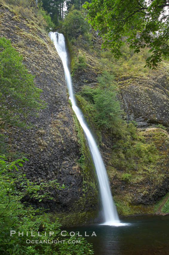 Horsetail Falls drops 176 feet just a few yards off the Columbia Gorge Scenic Highway. Columbia River Gorge National Scenic Area, Oregon, USA, natural history stock photograph, photo id 19316