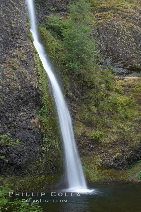 Horsetail Falls drops 176 feet just a few yards off the Columbia Gorge Scenic Highway. Columbia River Gorge National Scenic Area, Oregon, USA, natural history stock photograph, photo id 19319