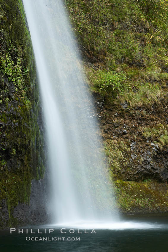 Horsetail Falls drops 176 feet just a few yards off the Columbia Gorge Scenic Highway. Columbia River Gorge National Scenic Area, Oregon, USA, natural history stock photograph, photo id 19317