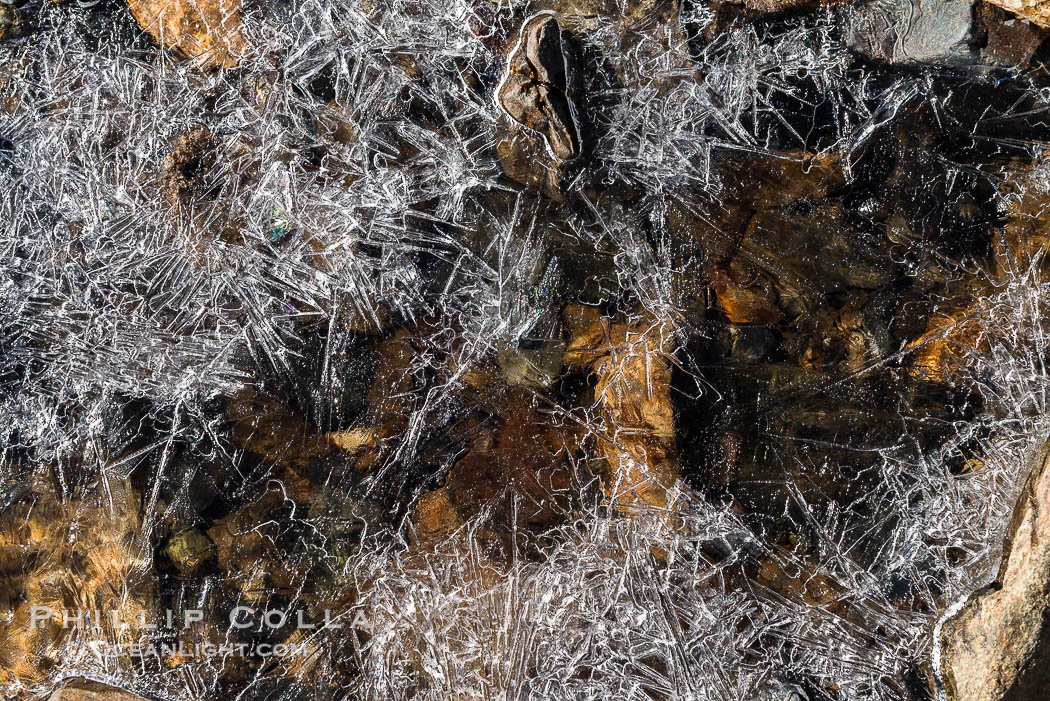 Ice in the Kaweah River, Mineral King, Sequoia National Park., natural history stock photograph, photo id 32285