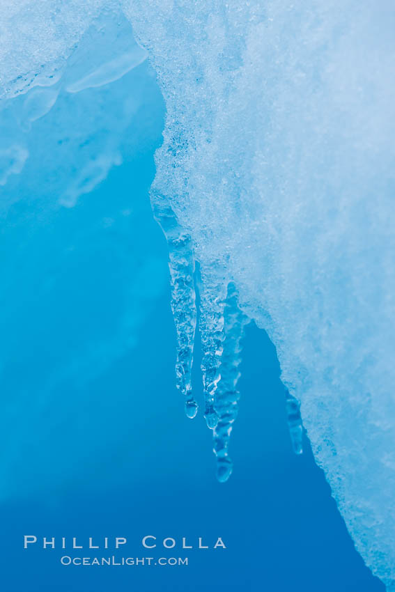 Icicles and melting ice, hanging from the edge of an blue iceberg.  Is this the result of climate change and global warming?. Brown Bluff, Antarctic Peninsula, Antarctica, natural history stock photograph, photo id 24870