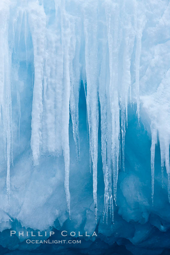 Icicles and melting ice, hanging from the edge of an blue iceberg.  Is this the result of climate change and global warming?. Brown Bluff, Antarctic Peninsula, Antarctica, natural history stock photograph, photo id 24799