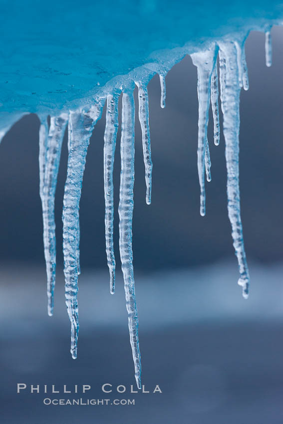 Icicles and melting ice, hanging from the edge of an blue iceberg.  Is this the result of climate change and global warming?, Brown Bluff