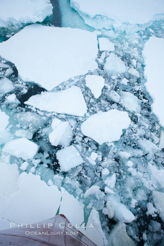 Pack ice and brash ice fills the Weddell Sea, near the Antarctic Peninsula.  This pack ice is a combination of broken pieces of icebergs, sea ice that has formed on the ocean. Southern Ocean, natural history stock photograph, photo id 24919