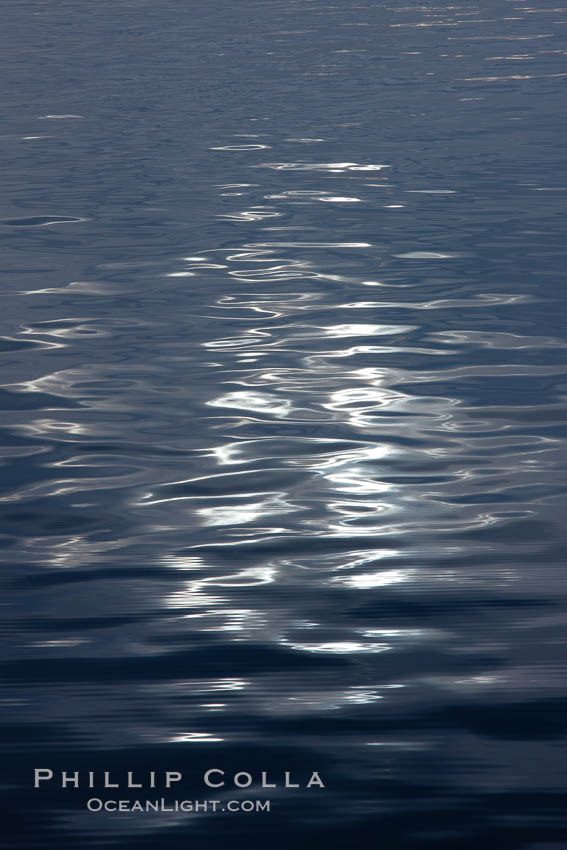 Light reflections. Paulet Island, Antarctic Peninsula, Antarctica, natural history stock photograph, photo id 24825