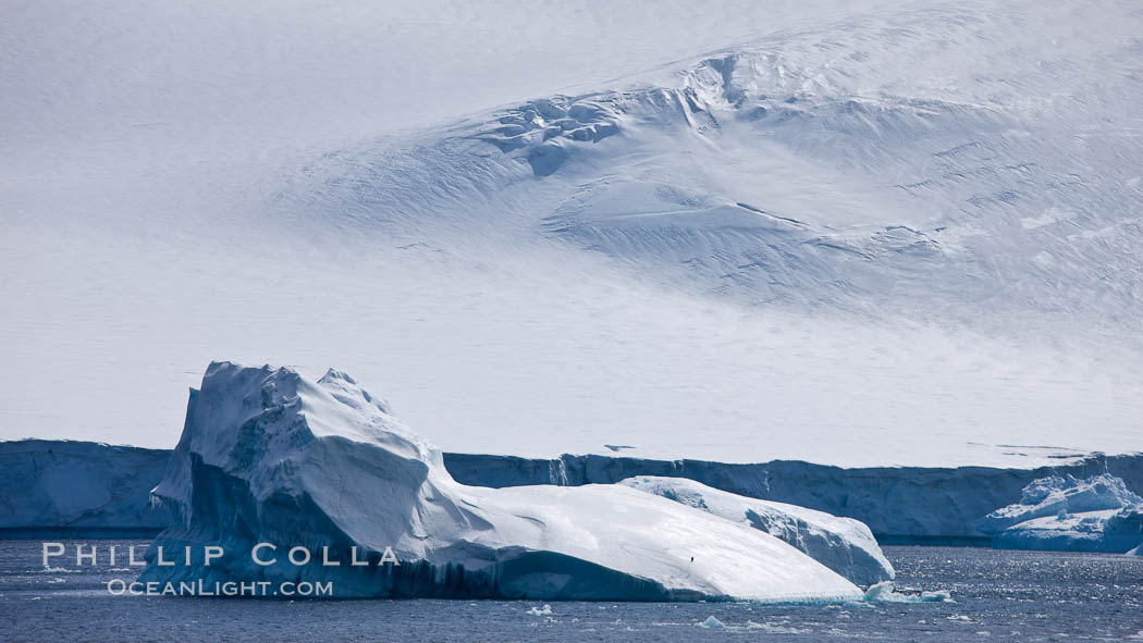 Iceberg and snow-covered coastline, Antarctic Sound. Antarctic Peninsula, Antarctica, natural history stock photograph, photo id 24810