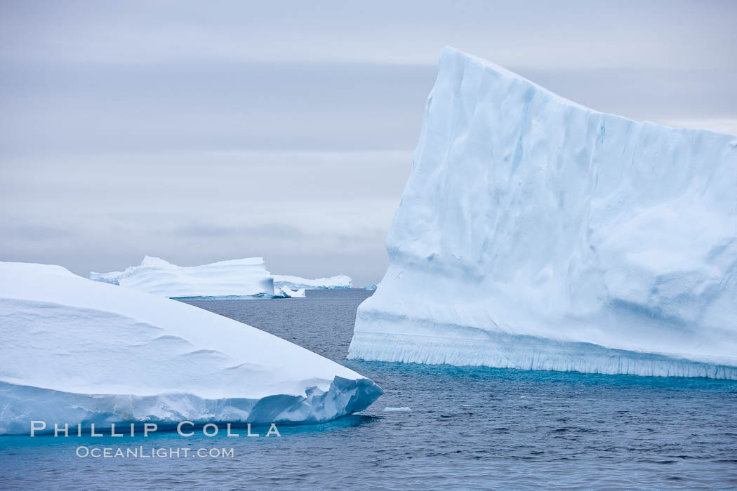 Icebergs. Paulet Island, Antarctic Peninsula, Antarctica, natural history stock photograph, photo id 24912