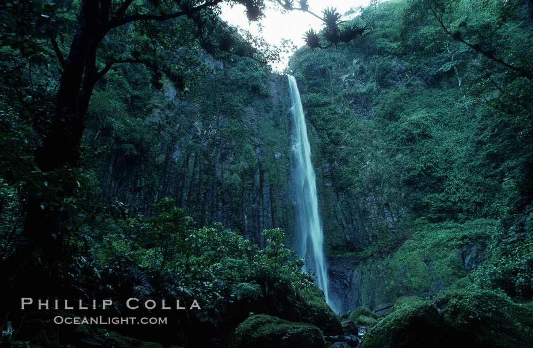 Iglesias Falls, waterfall. Cocos Island, Costa Rica, natural history stock photograph, photo id 05490