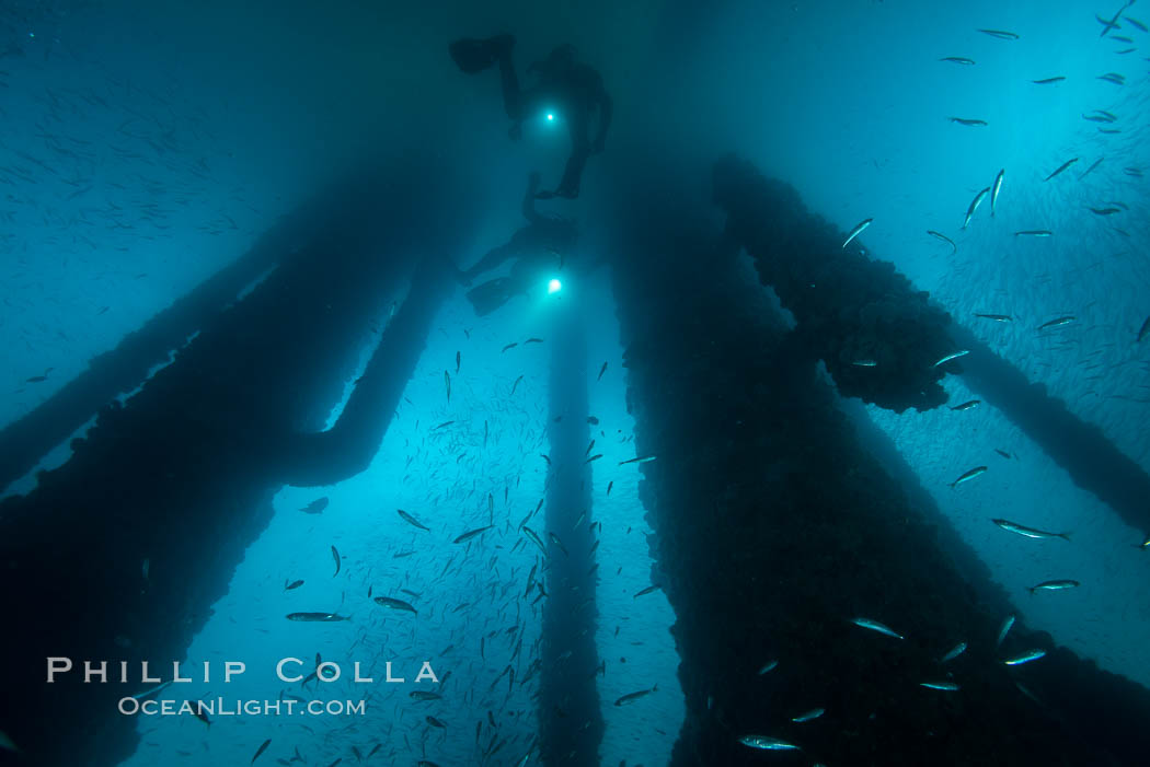 Oil Rig Ellen underwater structure covered in invertebrate life, Long Beach, California