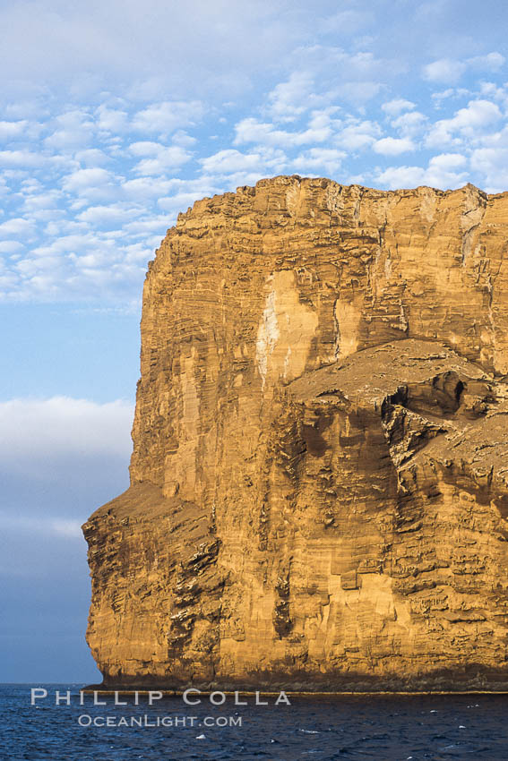 Isla Afuera is a volcanic plug towering 700 feet above the ocean near the south end of Guadalupe Island.  Its steep cliffs extend underwater hundreds of feet offering spectacular wall diving and submarine topography. Guadalupe Island (Isla Guadalupe), Baja California, Mexico, natural history stock photograph, photo id 09754