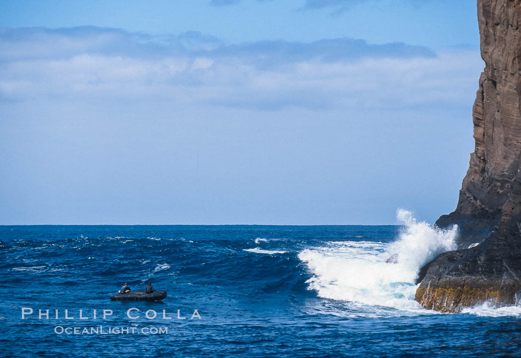 Isla Afuera, Guadalupe Island, Mexico. Guadalupe Island (Isla Guadalupe), Baja California, natural history stock photograph, photo id 36140