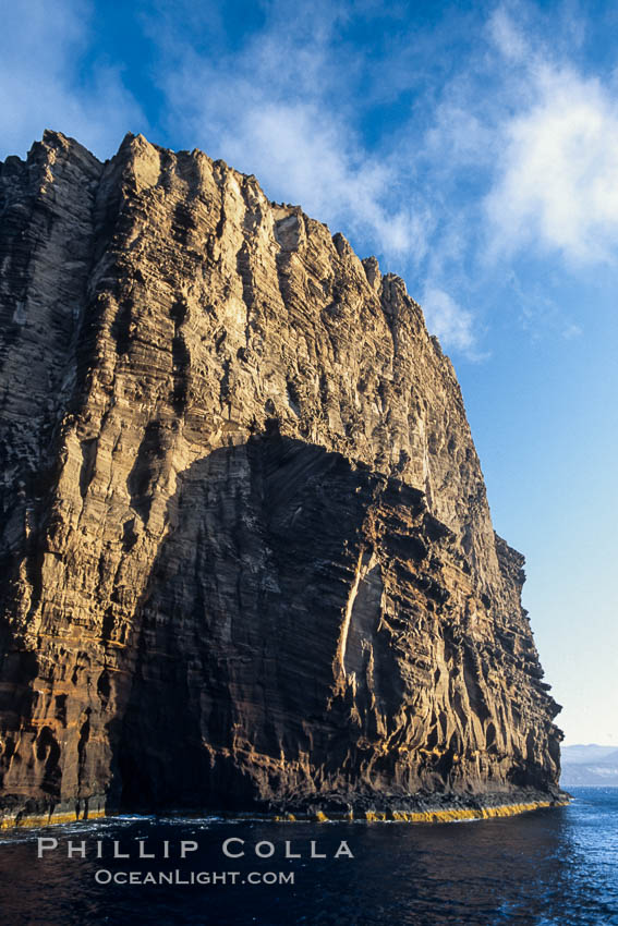 Isla Afuera is a volcanic plug towering 700 feet above the ocean near the south end of Guadalupe Island.  Its steep cliffs extend underwater hundreds of feet offering spectacular wall diving and submarine topography. Guadalupe Island (Isla Guadalupe), Baja California, Mexico, natural history stock photograph, photo id 09755