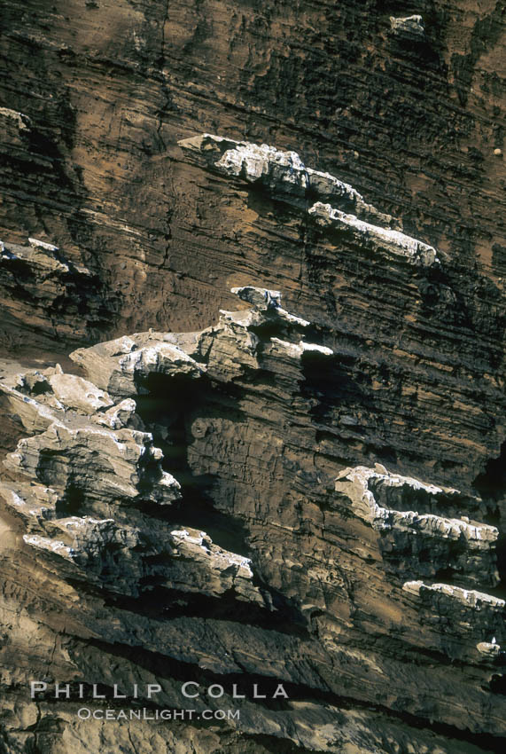 Lava / ash detail, Isla Afuera. Guadalupe Island (Isla Guadalupe), Baja California, Mexico, natural history stock photograph, photo id 02377