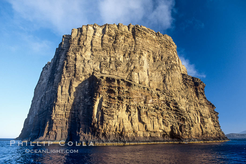 Isla Afuera is a volcanic plug towering 700 feet above the ocean near the south end of Guadalupe Island. Its steep cliffs extend underwater hundreds of feet offering spectacular wall diving and submarine topography, Guadalupe Island (Isla Guadalupe)