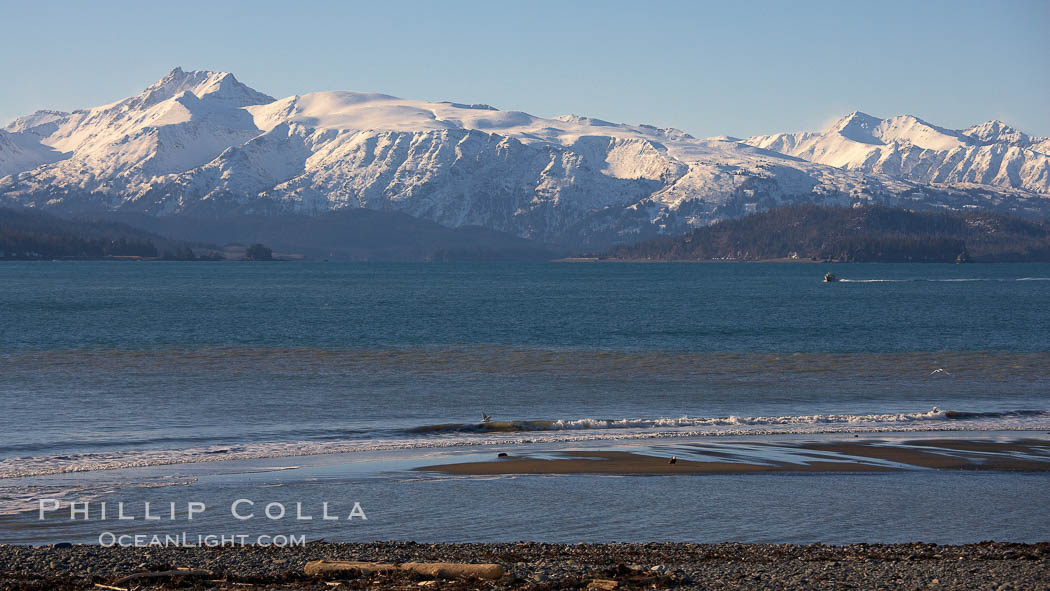 Kachemak Bay, Kenai Mountains, tide flats and rocky beach. Homer, Alaska, USA, natural history stock photograph, photo id 22736