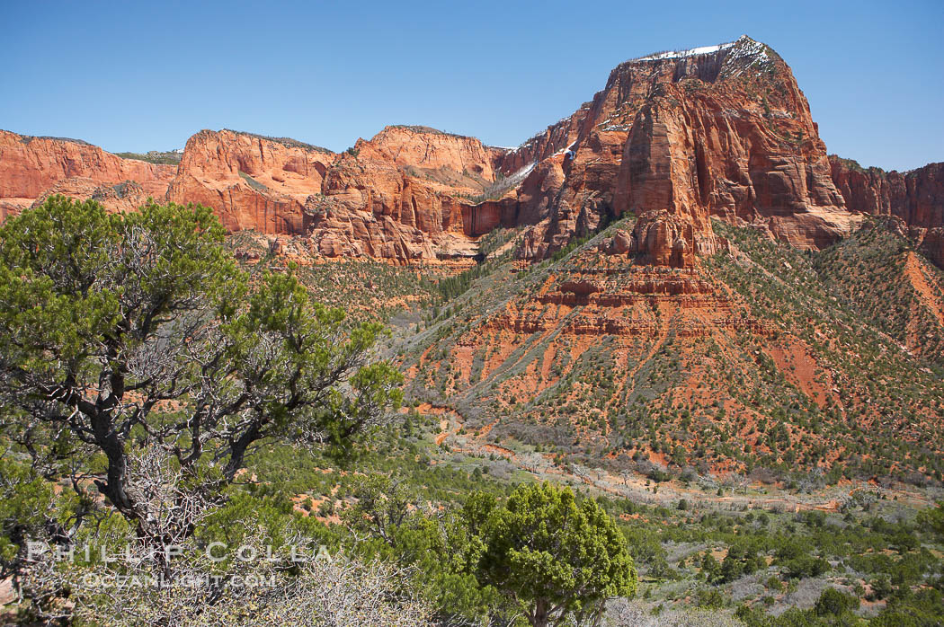 Kolob Canyon., natural history stock photograph, photo id 12483