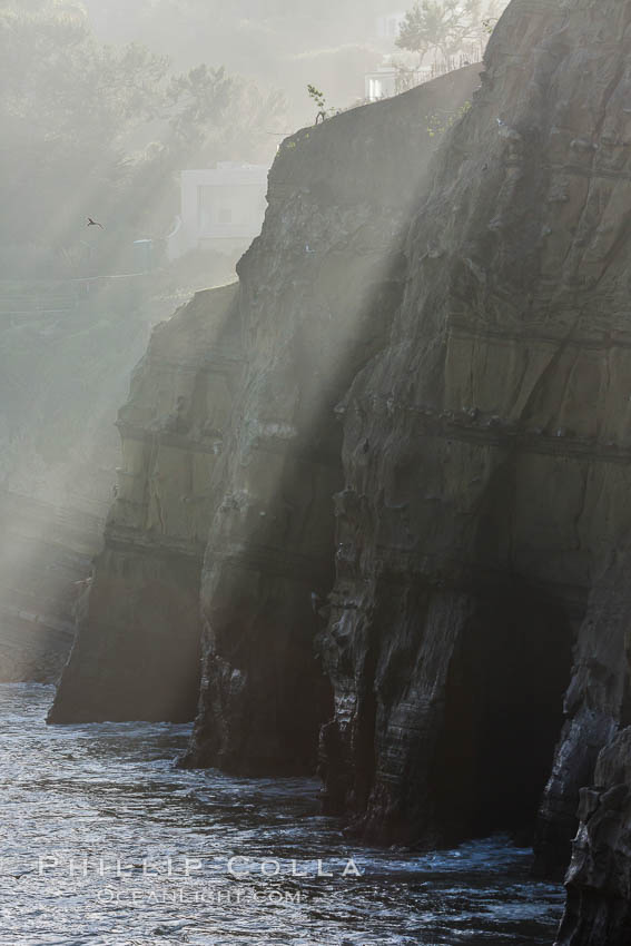 Sea cliffs and sea caves at sea level, made of sandstone and eroded by waves and tides, La Jolla, California