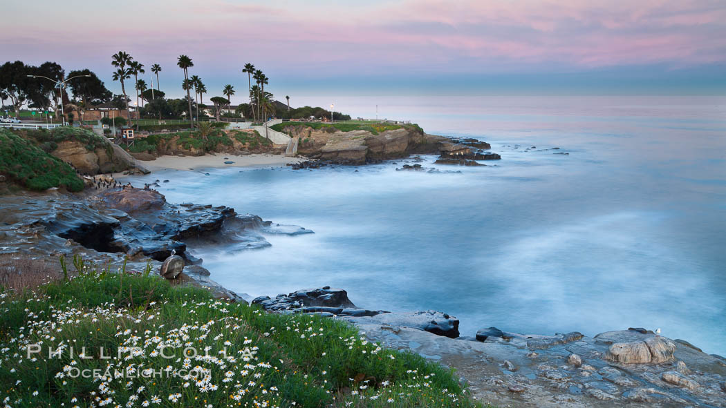 La Jolla Cove and earth shadow at dawn. Just before sunrise the shadow of the Earth can seen as the darker sky below the pink sunrise