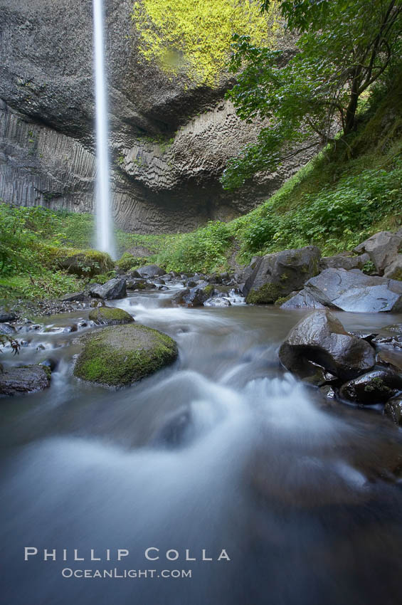 Cascades below Latourelle Falls, in Guy W. Talbot State Park, drops 249 feet through a lush forest near the Columbia River. Columbia River Gorge National Scenic Area, Oregon, USA, natural history stock photograph, photo id 19350