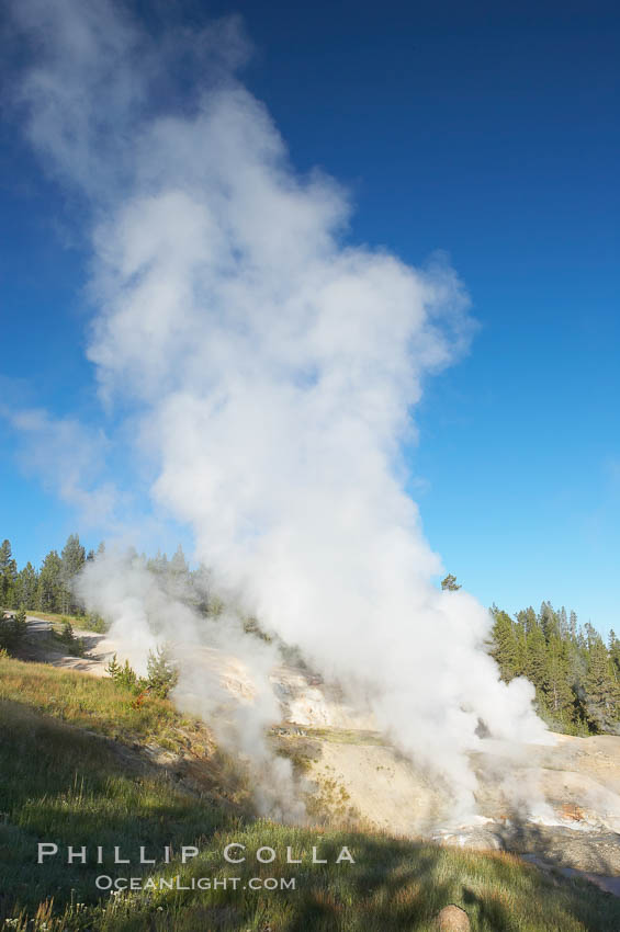 Ledge Geyser, vents releasing steam, in the Porcelain Basin area of Norris Geyser Basin. Yellowstone National Park, Wyoming, USA, natural history stock photograph, photo id 13482