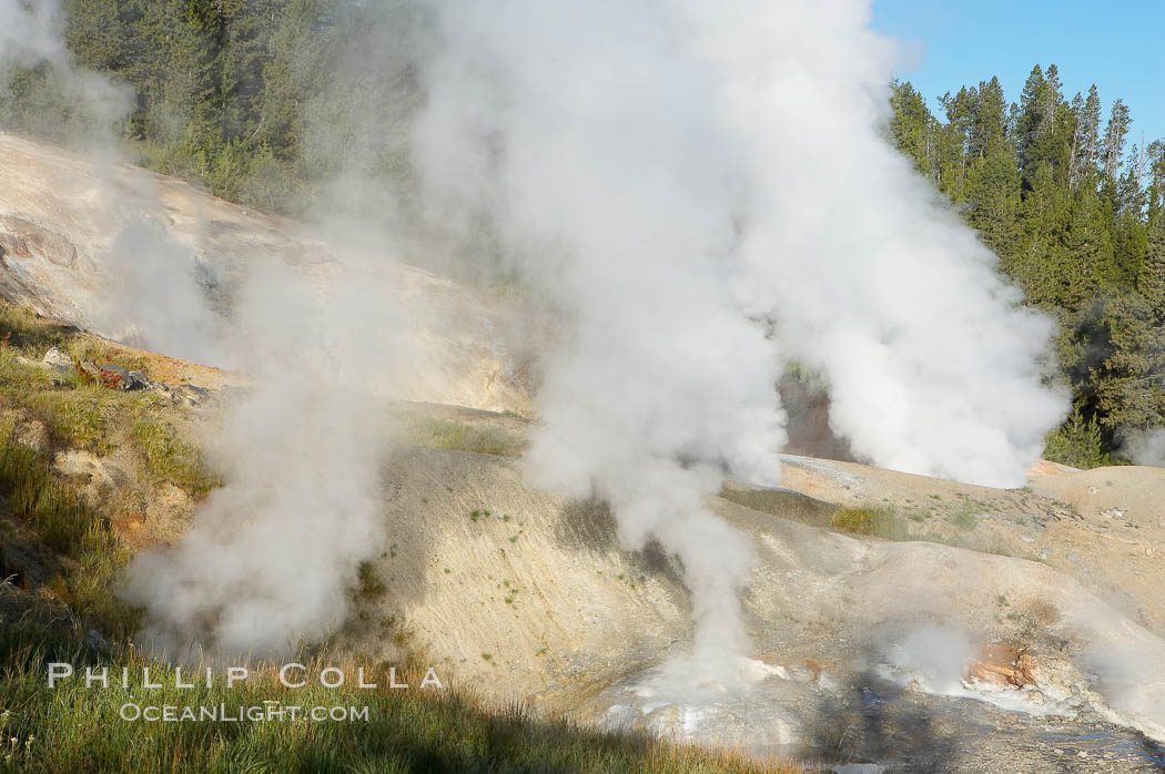 Ledge Geyser, vents releasing steam, in the Porcelain Basin area of Norris Geyser Basin, Yellowstone National Park, Wyoming