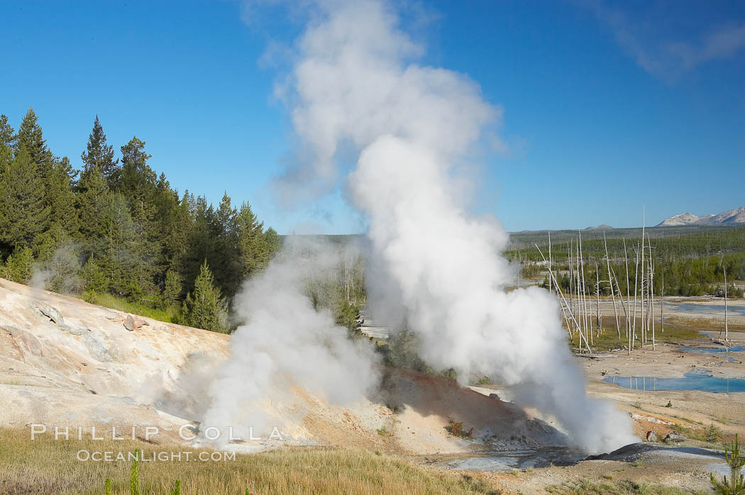 Ledge Geyser, vents releasing steam, in the Porcelain Basin area of Norris Geyser Basin. Yellowstone National Park, Wyoming, USA, natural history stock photograph, photo id 13485