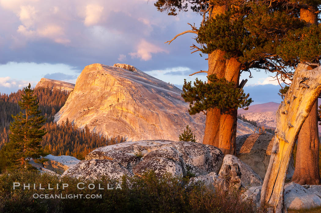 Lembert Dome and late afternoon clouds rise above Tuolumne Meadows in the High Sierra, catching the fading light of sunset. Yosemite National Park, California, USA, natural history stock photograph, photo id 09939