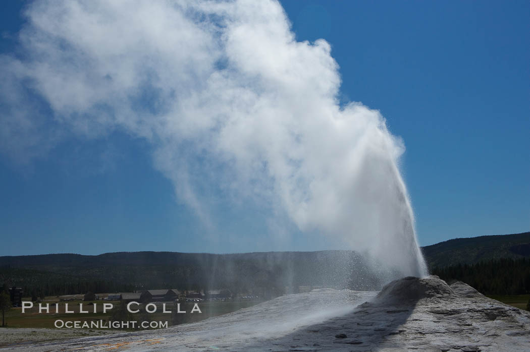 Lion Geyser, whose eruption is preceded by a release of steam that sounds like a lion roaring, erupts just once or a few times each day, reaching heights of up to 90 feet.  Upper Geyser Basin. Yellowstone National Park, Wyoming, USA, natural history stock photograph, photo id 13374