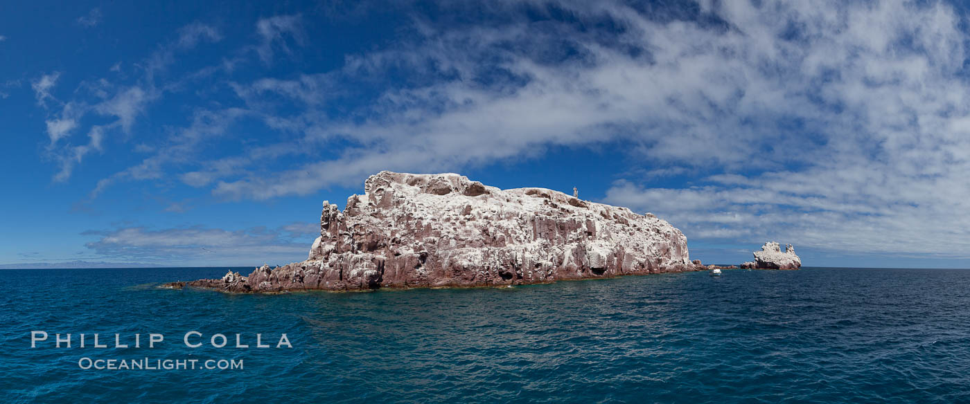 Los Islotes Island, Espiritu Santo-complex Biosphere Reserve, Sea of Cortez, Baja California, Mexico., natural history stock photograph, photo id 27359
