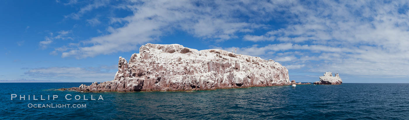 Los Islotes Island, Espiritu Santo-complex Biosphere Reserve, Sea of Cortez, Baja California, Mexico., natural history stock photograph, photo id 27361