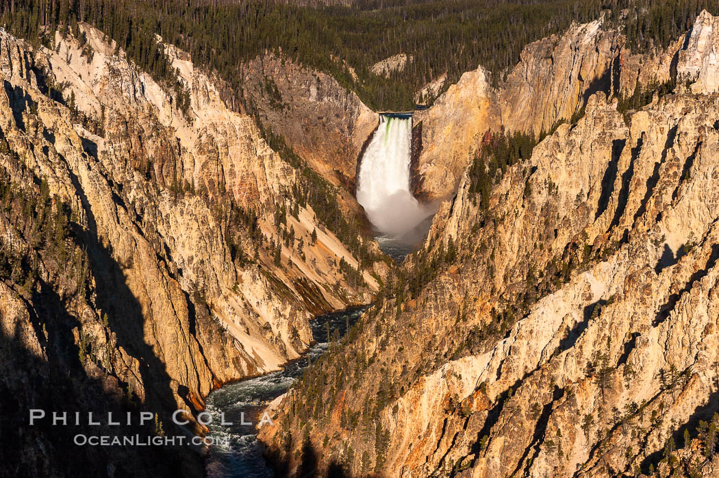 Lower Falls of the Yellowstone River. At 308 feet, the Lower Falls of the Yellowstone River is the tallest fall in the park. This view is from the famous and popular Artist Point on the south side of the Grand Canyon of the Yellowstone. Yellowstone National Park, Wyoming, USA, natural history stock photograph, photo id 07769