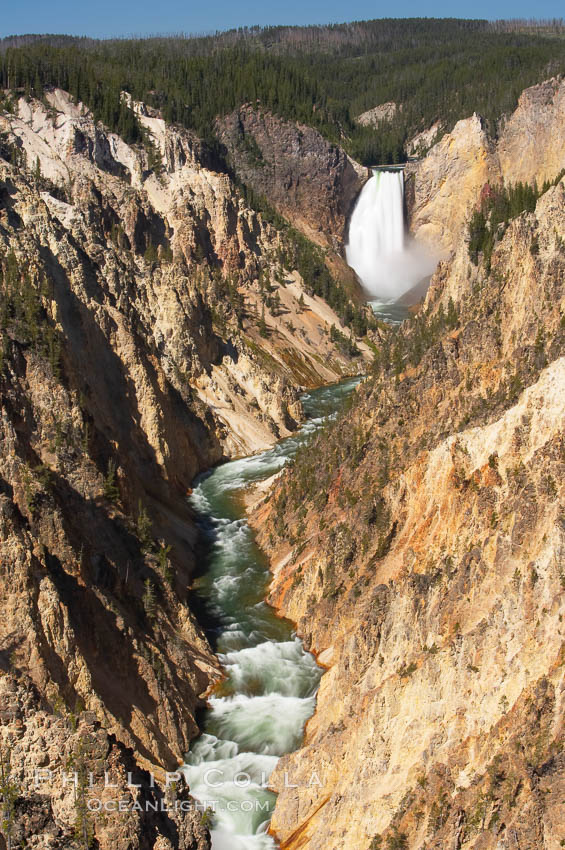 The Lower Falls of the Yellowstone River drops 308 feet at the head of the Grand Canyon of the Yellowstone. A long exposure blurs the fast-flowing water.  The canyon is approximately 10,000 years old, 20 miles long, 1000 ft deep, and 2500 ft wide. Its yellow, orange and red-colored walls are due to oxidation of the various iron compounds in the soil, and to a lesser degree, sulfur content. Yellowstone National Park, Wyoming, USA, natural history stock photograph, photo id 13338