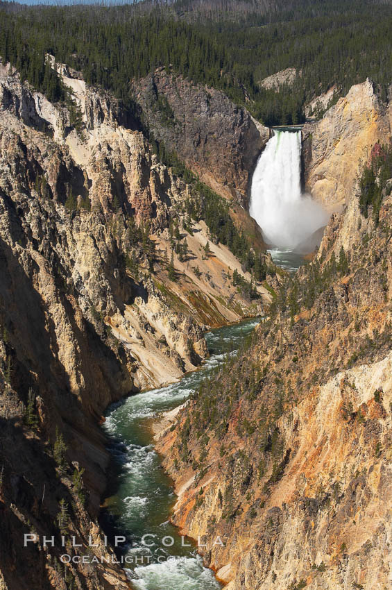 The Lower Falls of the Yellowstone River drops 308 feet at the head of the Grand Canyon of the Yellowstone. The canyon is approximately 10,000 years old, 20 miles long, 1000 ft deep, and 2500 ft wide. Its yellow, orange and red-colored walls are due to oxidation of the various iron compounds in the soil, and to a lesser degree, sulfur content. Yellowstone National Park, Wyoming, USA, natural history stock photograph, photo id 13341